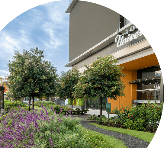 Personas compartiendo en comunidad